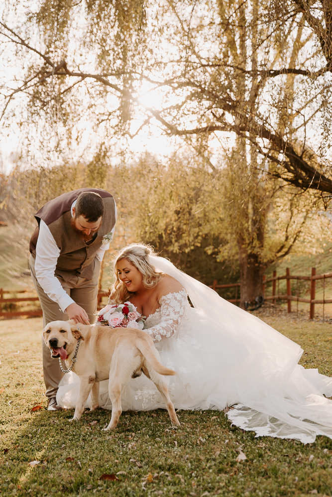 how to include your dog in your bride and groom photos at your wedding, wedding planning tips
