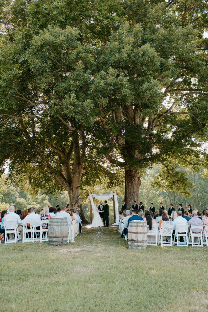 ceremony at Malden Hill venue under the trees with the golden sunlight beaming through