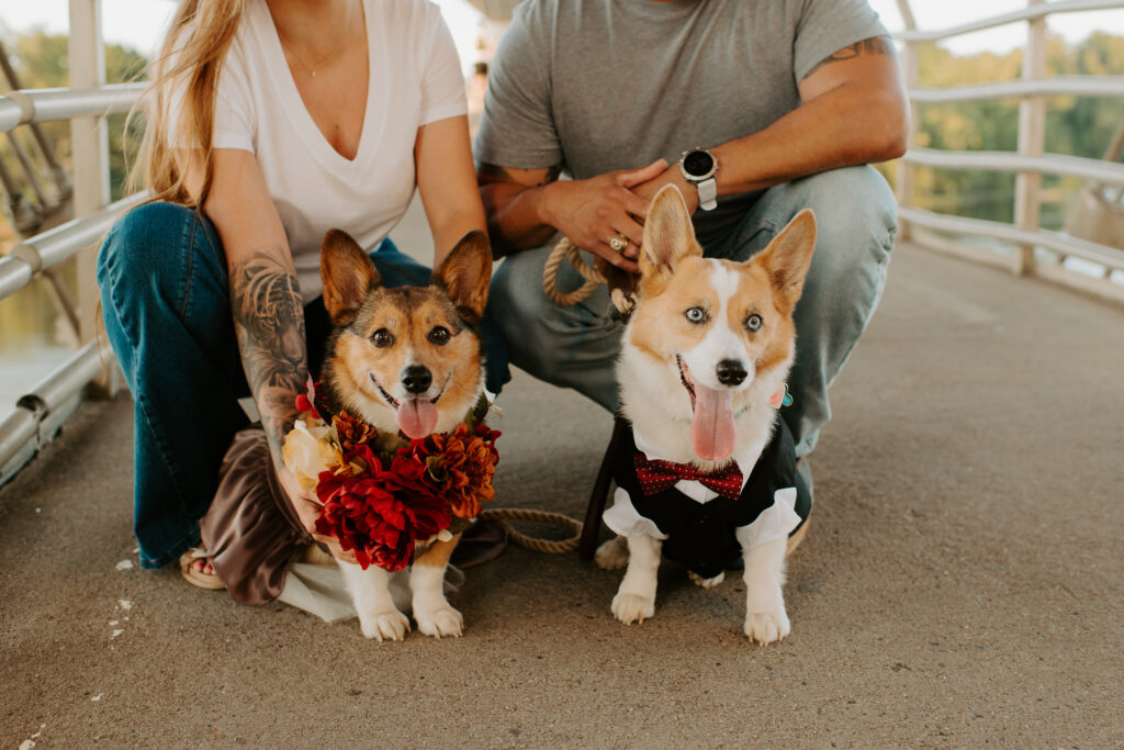 Richmond engagement photos with dogs
