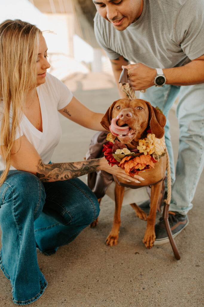 engagement photos with dogs in Richmond, Virginia
