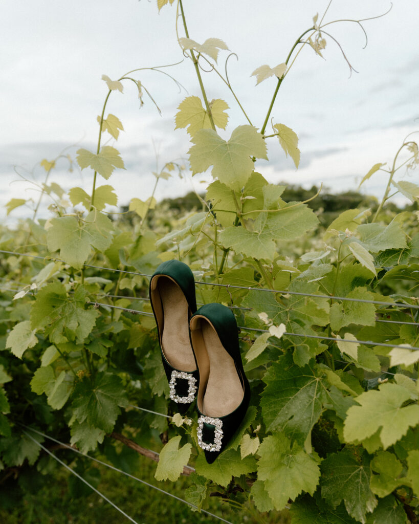 wedding shoes hanging on vines at vineyard